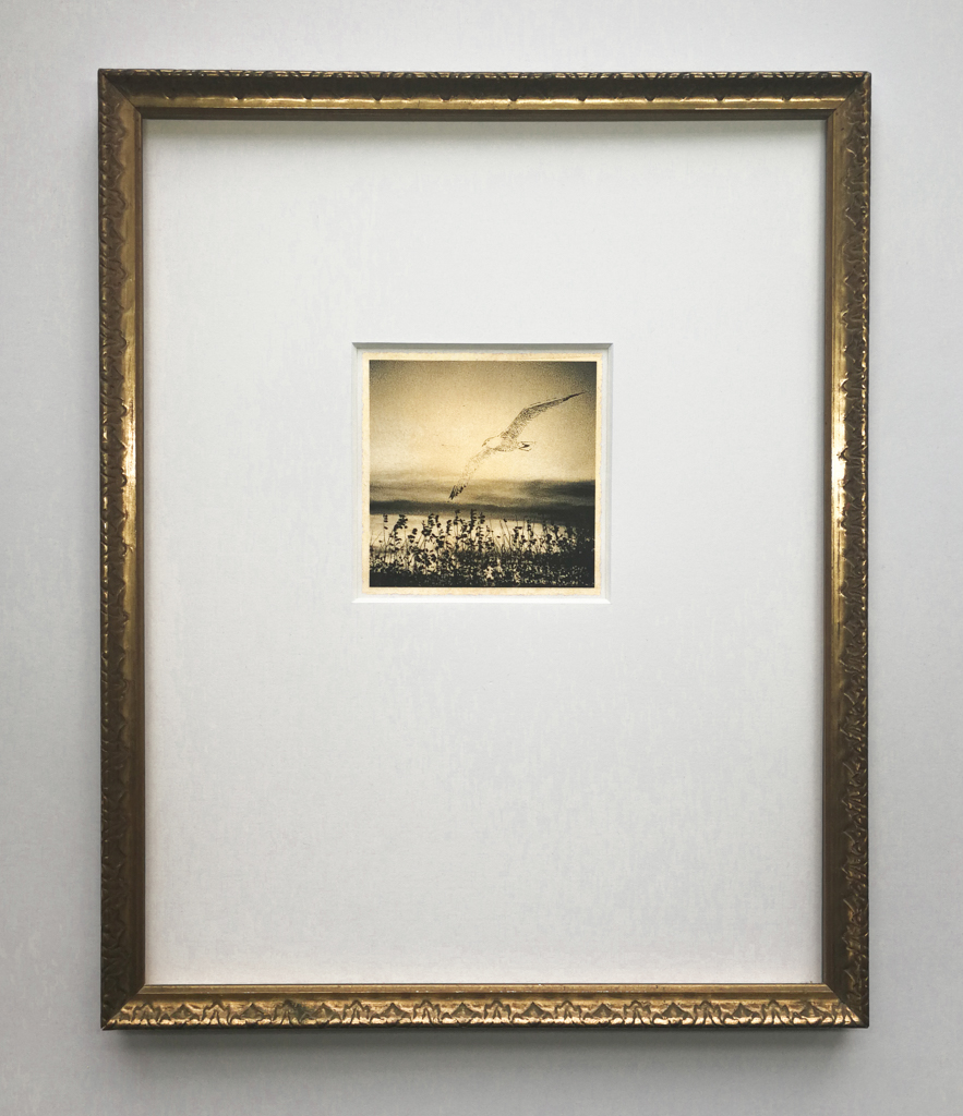 © Nicola Hackl-Haslinger, New Paths, 2021, 7 x 7 cm