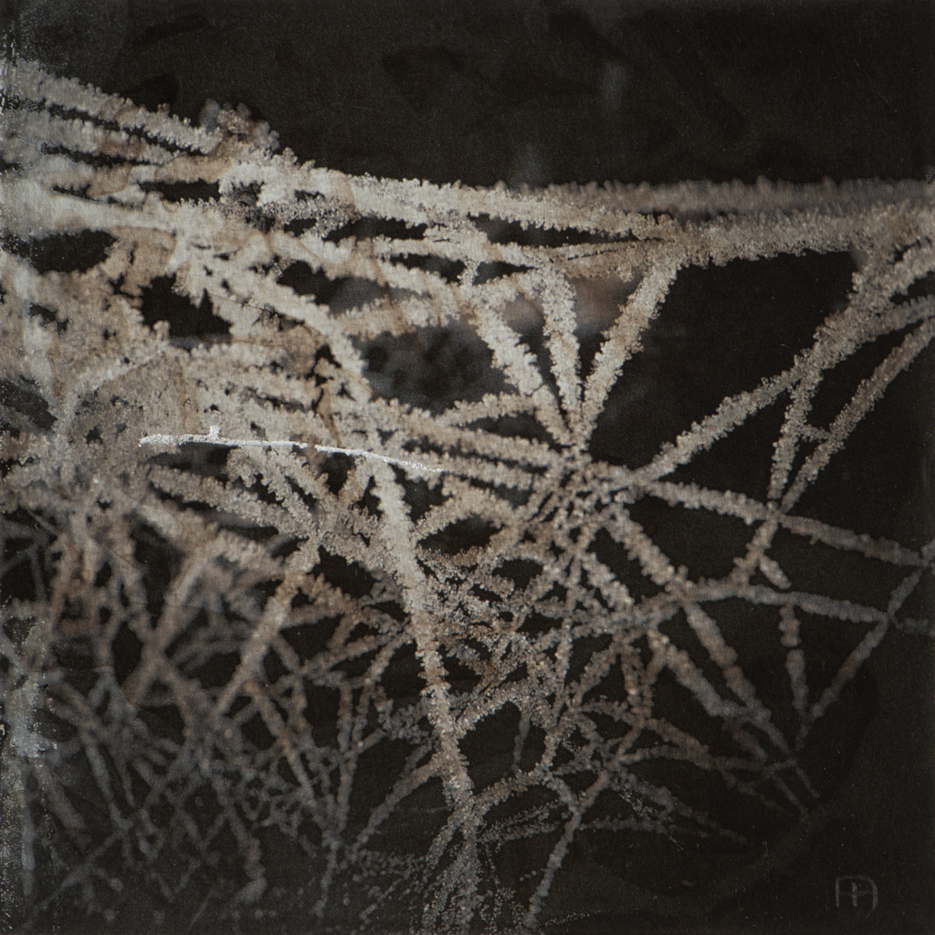 © Nicola Hackl-Haslinger, Deep Connection I, 2022, 15 x 15 cm