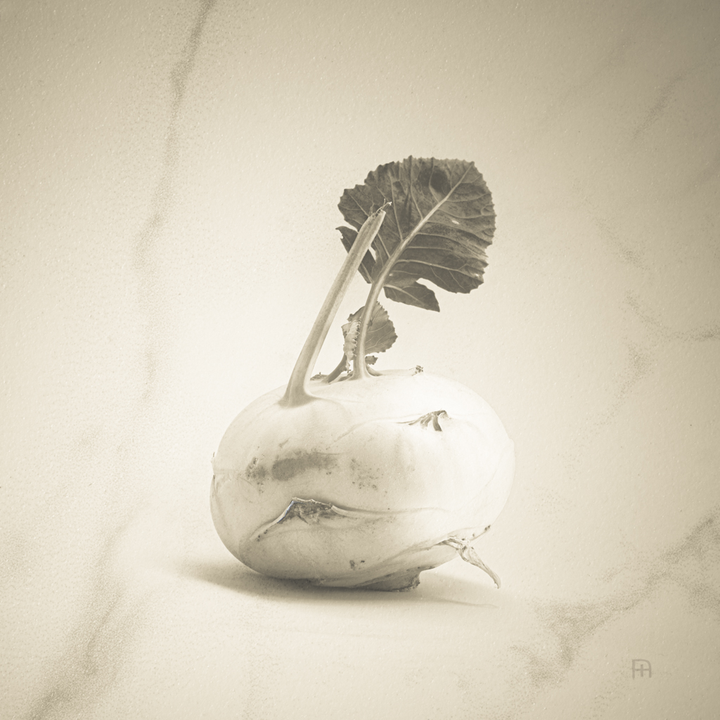 © Nicola Hackl-Haslinger, Brassica oleracea var gongylodes, 2023