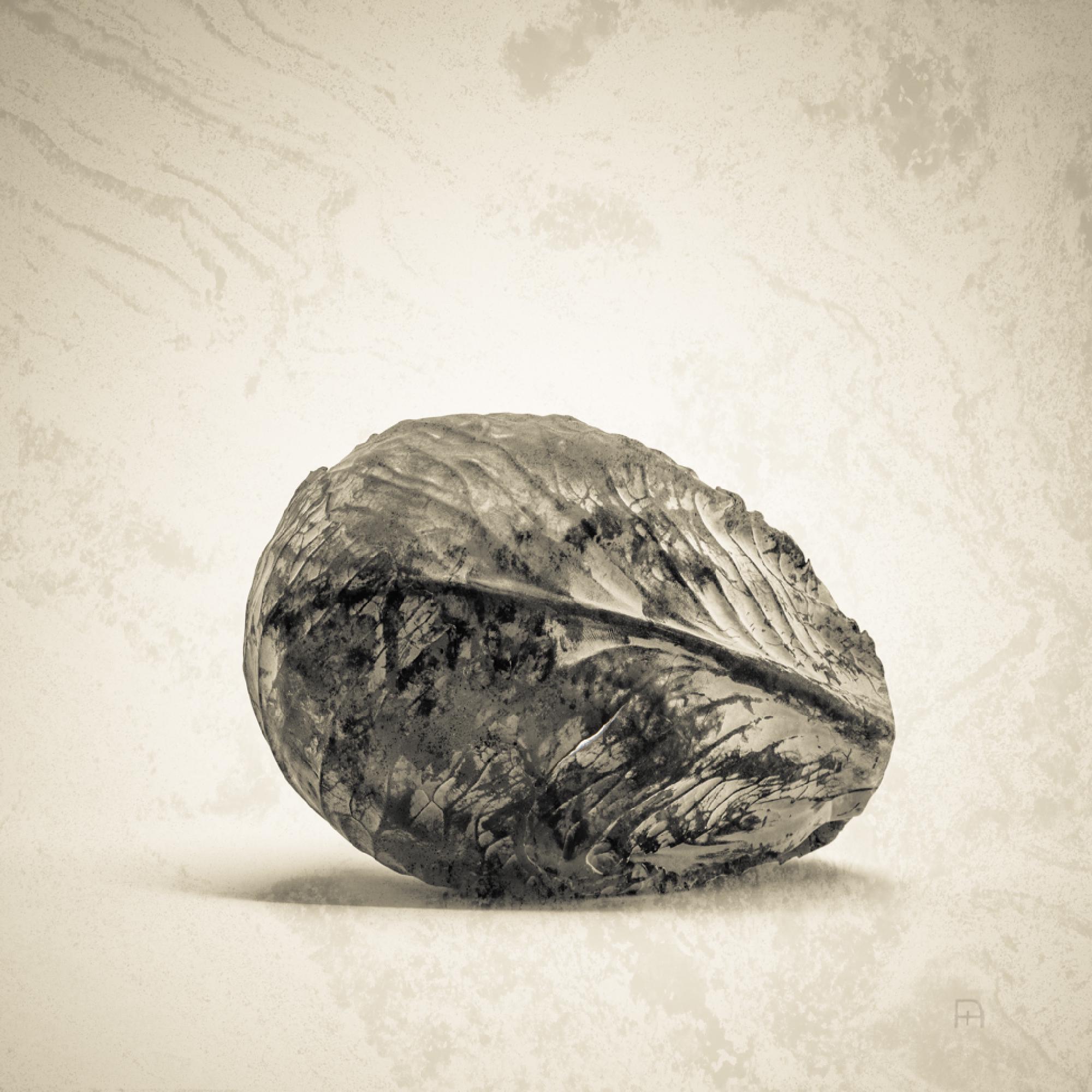 Featured image of post Roots