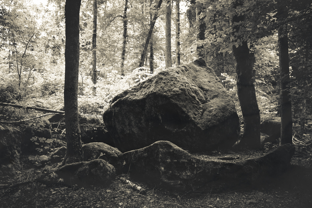 © Nicola Hackl-Haslinger, Rodltal II, 2023