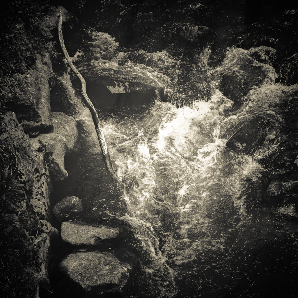 © Nicola Hackl-Haslinger, Rodltal I, 2023