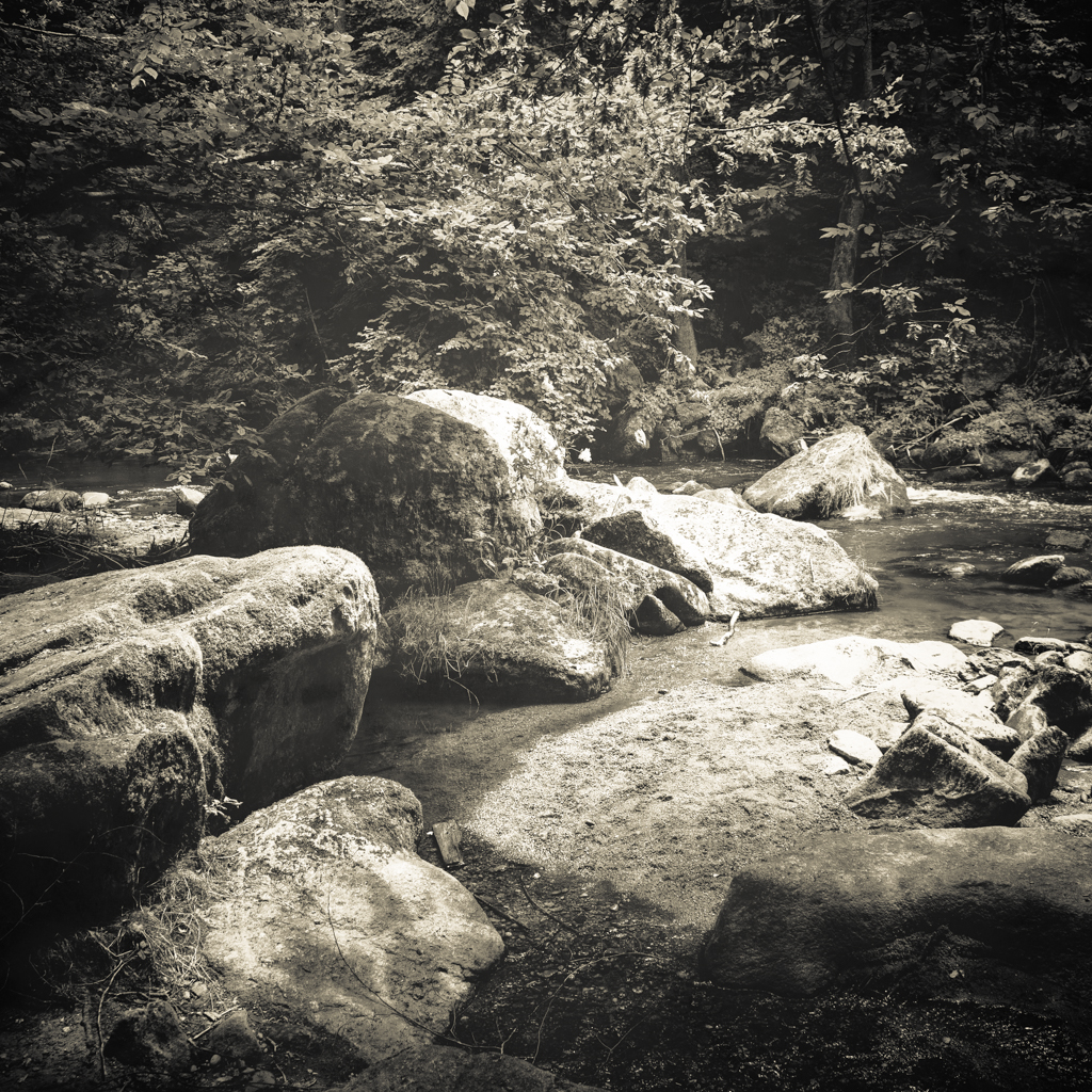 © Nicola Hackl-Haslinger, Rodltal VIII, 2023