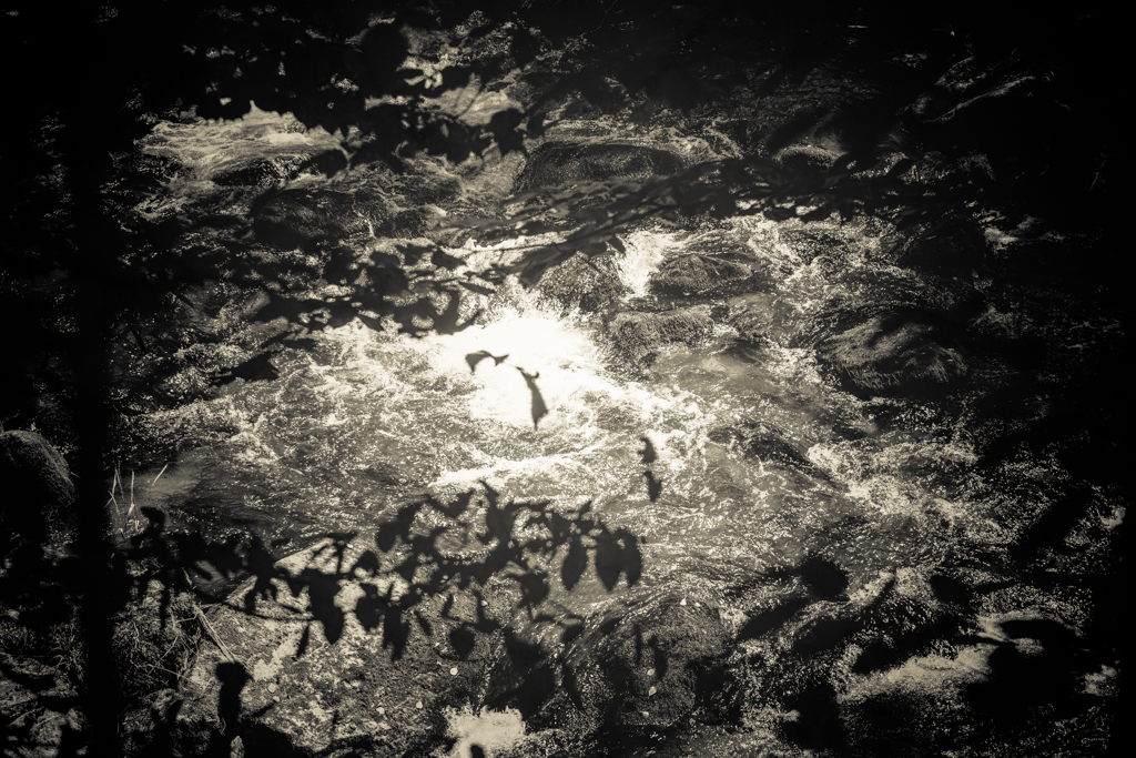 © Nicola Hackl-Haslinger, Rodltal VII, 2023