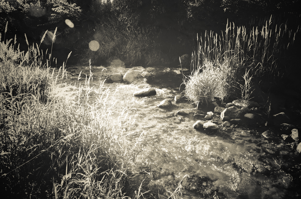 © Nicola Hackl-Haslinger, This Magical Moment, 2023